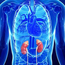 cancer-de-suprarrenal