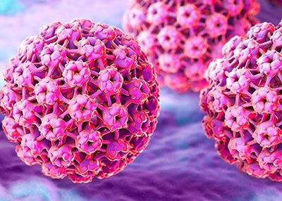 virus-papiloma-humano